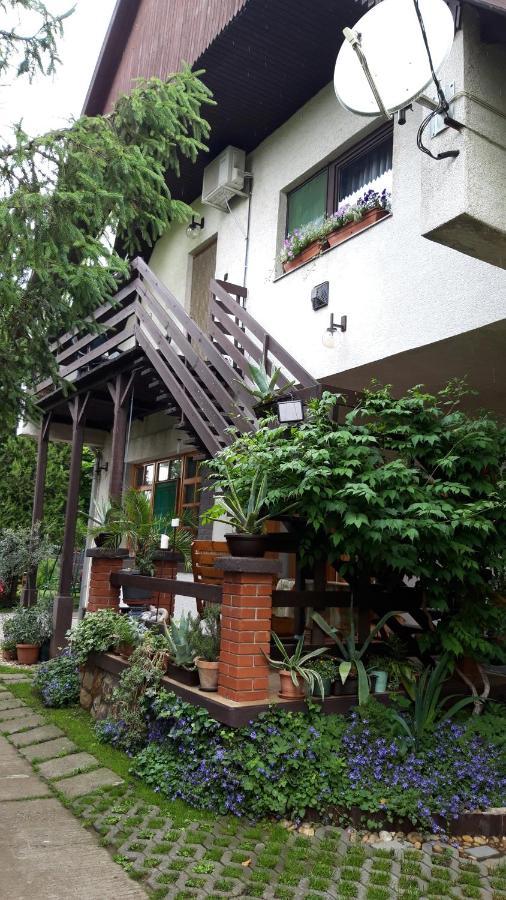 Agave Apartman Velence Bagian luar foto