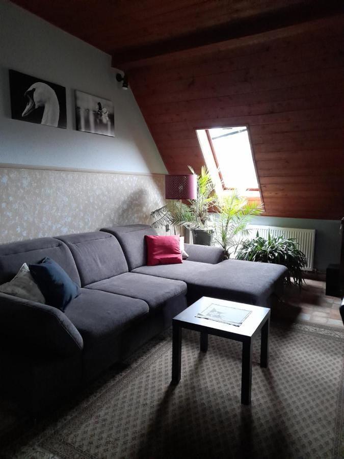 Agave Apartman Velence Bagian luar foto